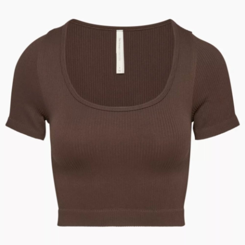 Aritzia The Group by Babaton Cropped Flow Seamless Scoopneck Body Con T-Shirt